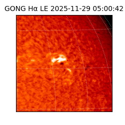 gong - 2025-11-29T05:00:42