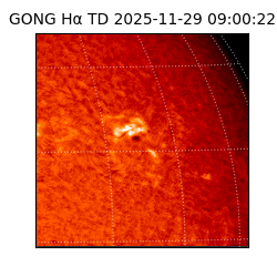 gong - 2025-11-29T09:00:22