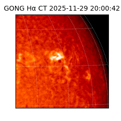 gong - 2025-11-29T20:00:42