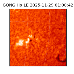 gong - 2025-11-29T01:00:42