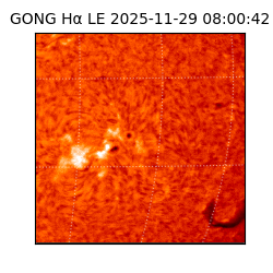 gong - 2025-11-29T08:00:42
