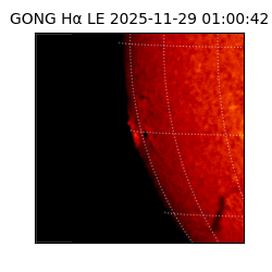 gong - 2025-11-29T01:00:42