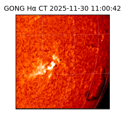 gong - 2025-11-30T11:00:42