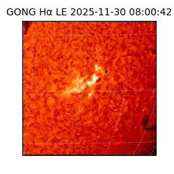 gong - 2025-11-30T08:00:42