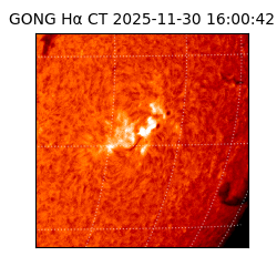 gong - 2025-11-30T16:00:42