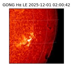 gong - 2025-12-01T02:00:42