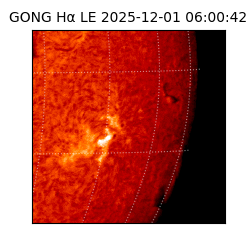 gong - 2025-12-01T06:00:42