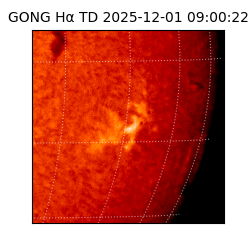 gong - 2025-12-01T09:00:22