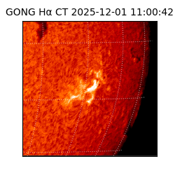 gong - 2025-12-01T11:00:42
