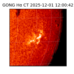 gong - 2025-12-01T12:00:42