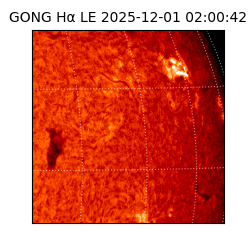 gong - 2025-12-01T02:00:42