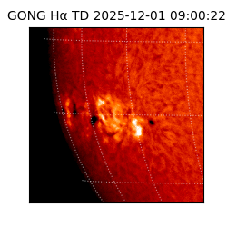 gong - 2025-12-01T09:00:22