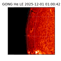 gong - 2025-12-01T01:00:42
