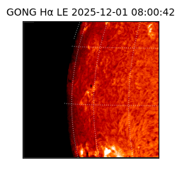 gong - 2025-12-01T08:00:42