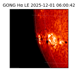 gong - 2025-12-01T06:00:42
