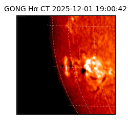 gong - 2025-12-01T19:00:42