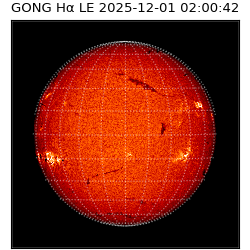 gong - 2025-12-01T02:00:42