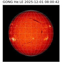 gong - 2025-12-01T08:00:42