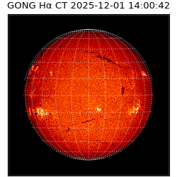 gong - 2025-12-01T14:00:42