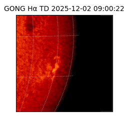 gong - 2025-12-02T09:00:22