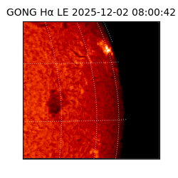 gong - 2025-12-02T08:00:42