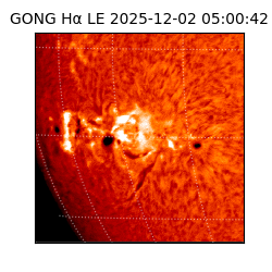 gong - 2025-12-02T05:00:42