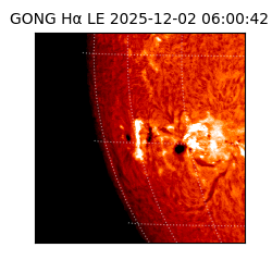 gong - 2025-12-02T06:00:42