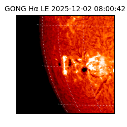 gong - 2025-12-02T08:00:42