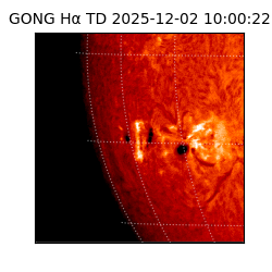 gong - 2025-12-02T10:00:22