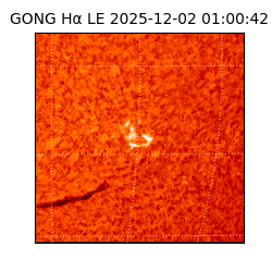 gong - 2025-12-02T01:00:42