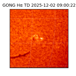 gong - 2025-12-02T09:00:22