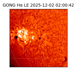 gong - 2025-12-02T02:00:42