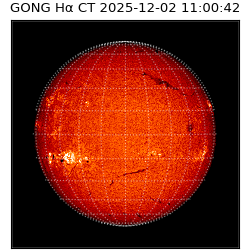 gong - 2025-12-02T11:00:42