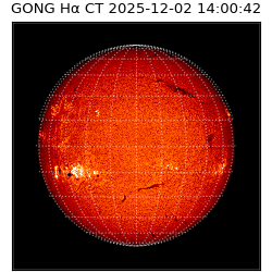 gong - 2025-12-02T14:00:42