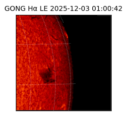 gong - 2025-12-03T01:00:42
