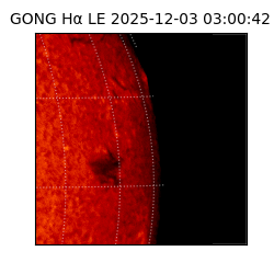 gong - 2025-12-03T03:00:42