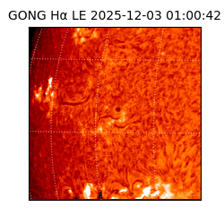 gong - 2025-12-03T01:00:42