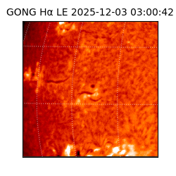 gong - 2025-12-03T03:00:42