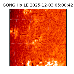 gong - 2025-12-03T05:00:42