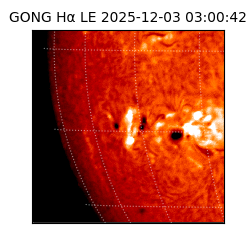 gong - 2025-12-03T03:00:42