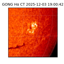 gong - 2025-12-03T19:00:42