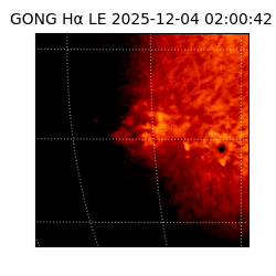 gong - 2025-12-04T02:00:42