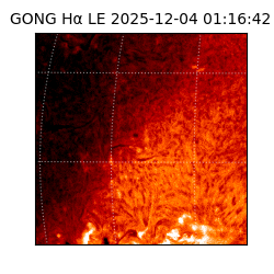 gong - 2025-12-04T01:16:42