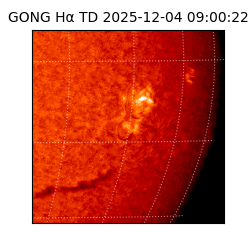 gong - 2025-12-04T09:00:22
