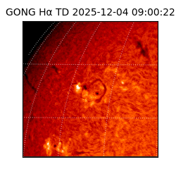 gong - 2025-12-04T09:00:22
