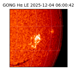 gong - 2025-12-04T06:00:42