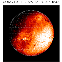 gong - 2025-12-04T01:16:42