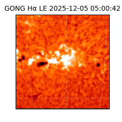 gong - 2025-12-05T05:00:42