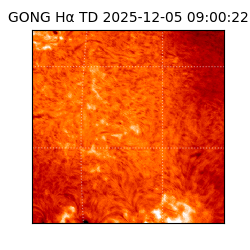 gong - 2025-12-05T09:00:22