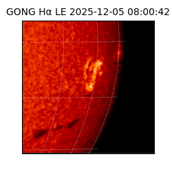 gong - 2025-12-05T08:00:42